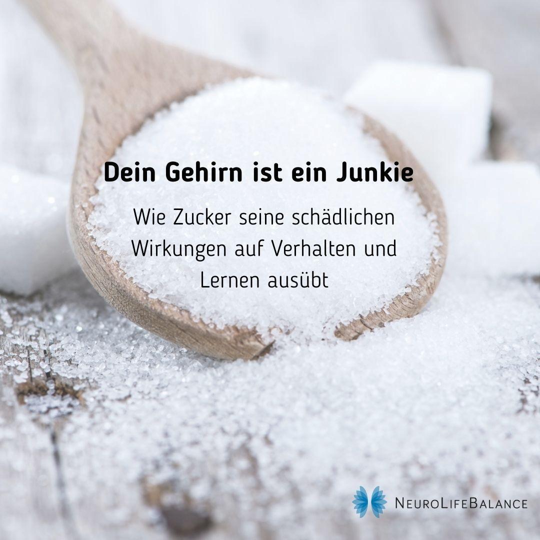 Das Gehirn und der Zucker