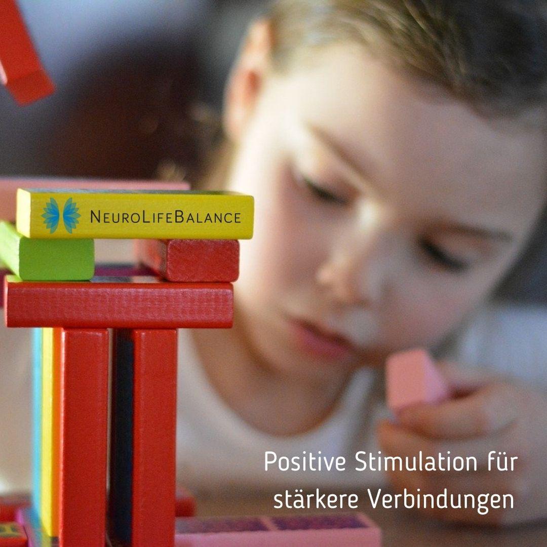 Die Formbarkeit von Nervenzellen