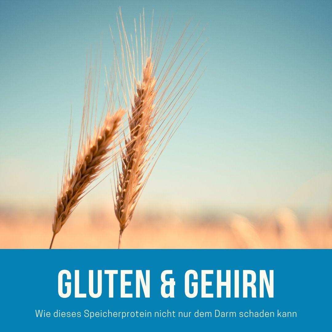 Gluten & Gehirn - ein Trend oder eine unterschätzte Gefahr?