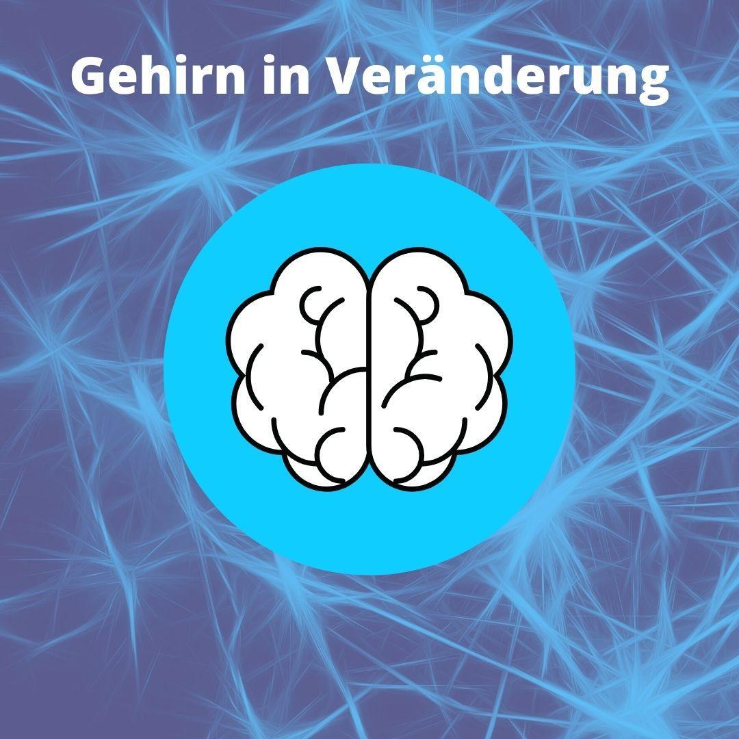 Gehirn in Veränderung